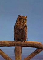 salon-de-la-photo-2012-17