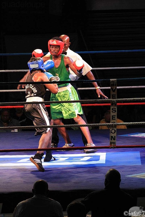 amateur-ubo-8.jpg