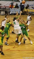 basket2010-feminine24