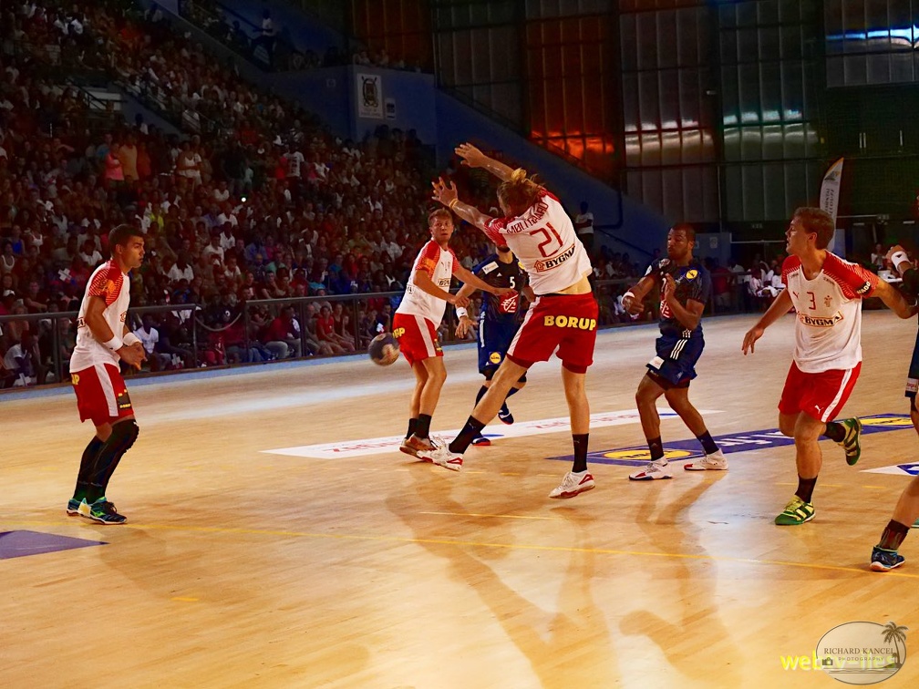 handball-france-danemark062.jpg