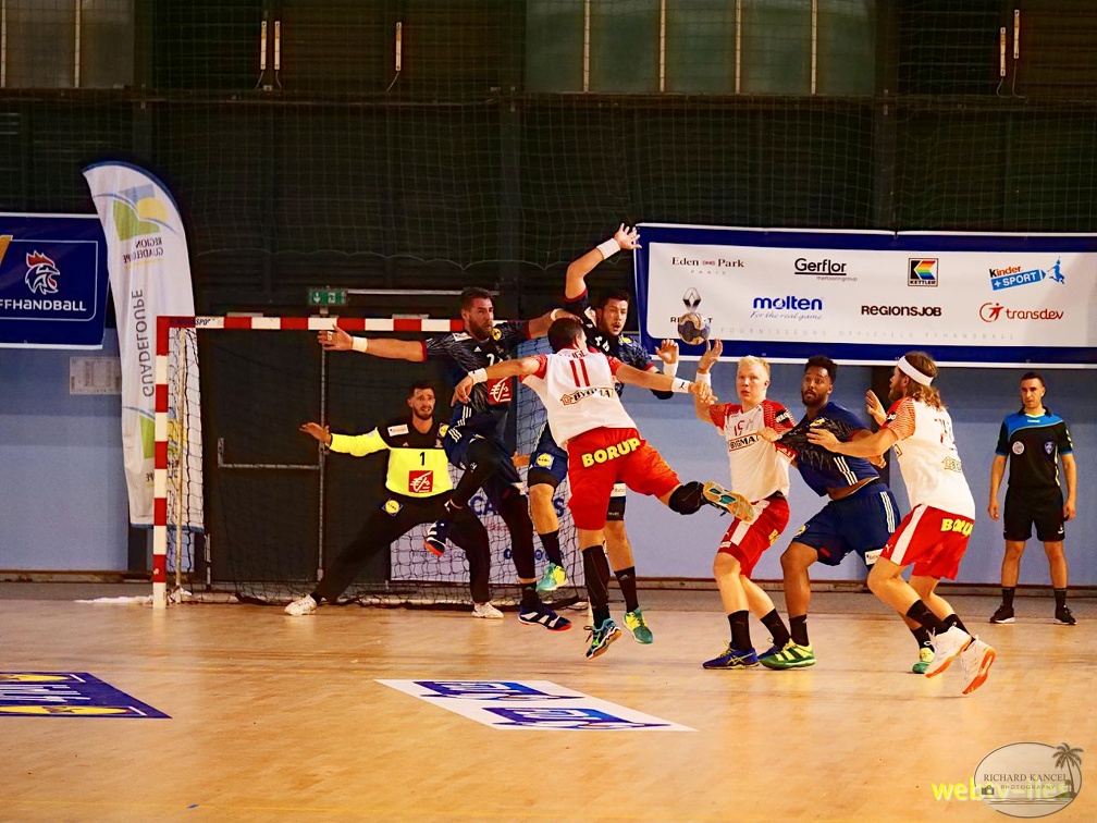 handball-france-danemark068.jpg