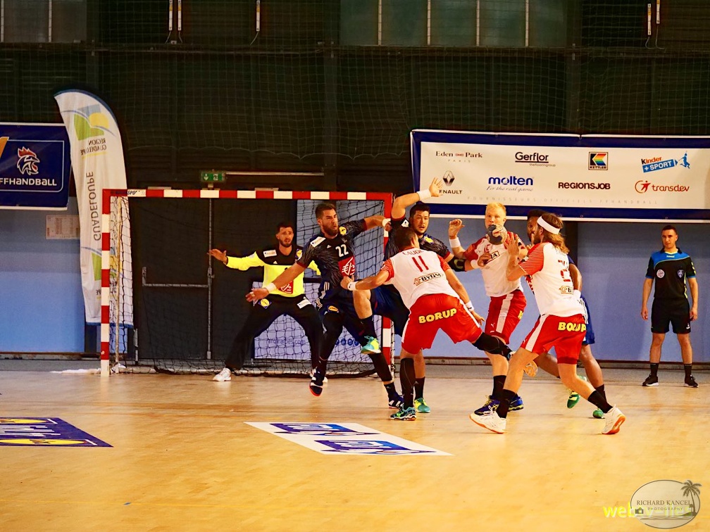 handball-france-danemark069.jpg
