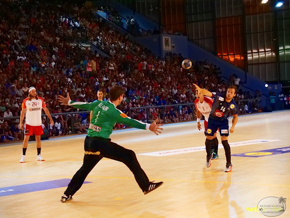 handball-france-danemark073.jpg