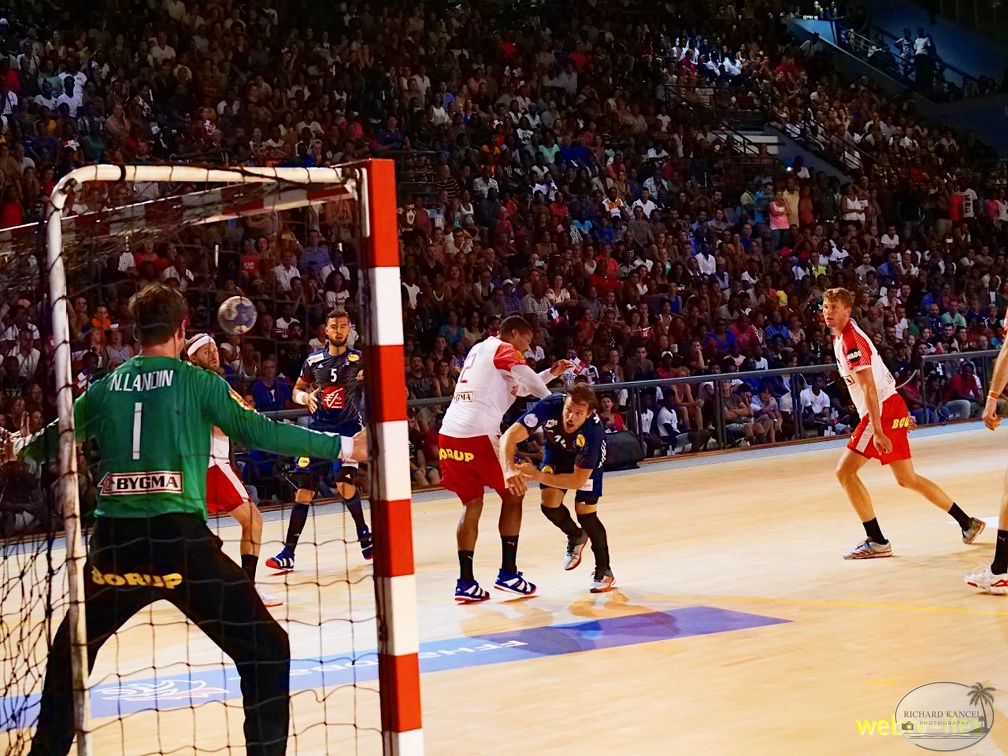 handball-france-danemark082.jpg