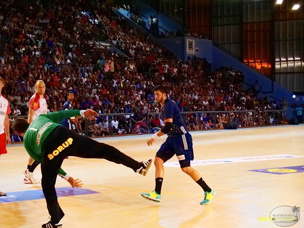 handball-france-danemark094.jpg