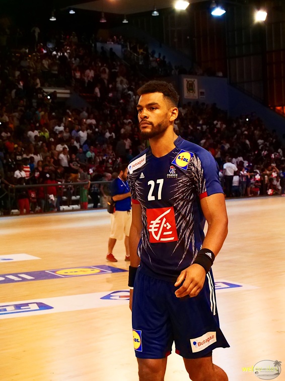 handball-france-danemark100.jpg