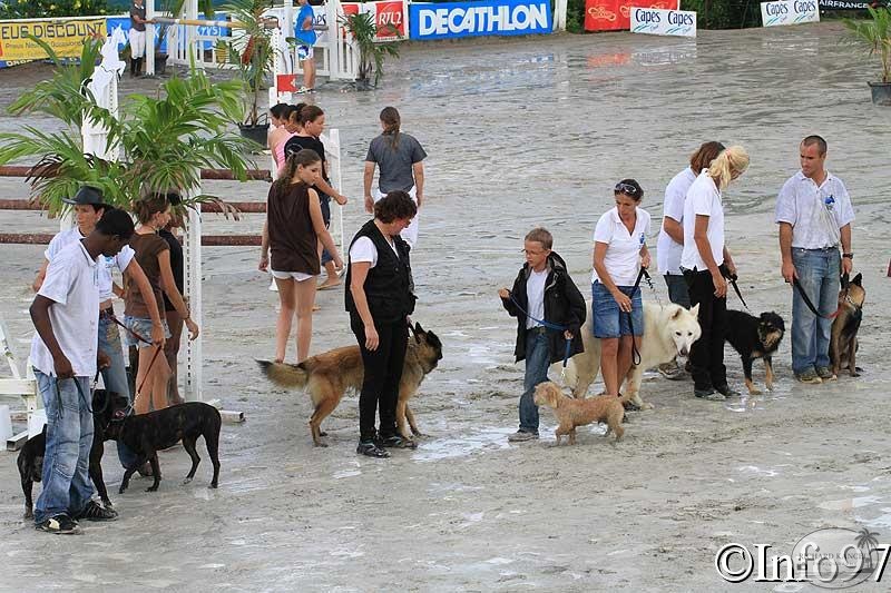 manifestation-canine4.jpg