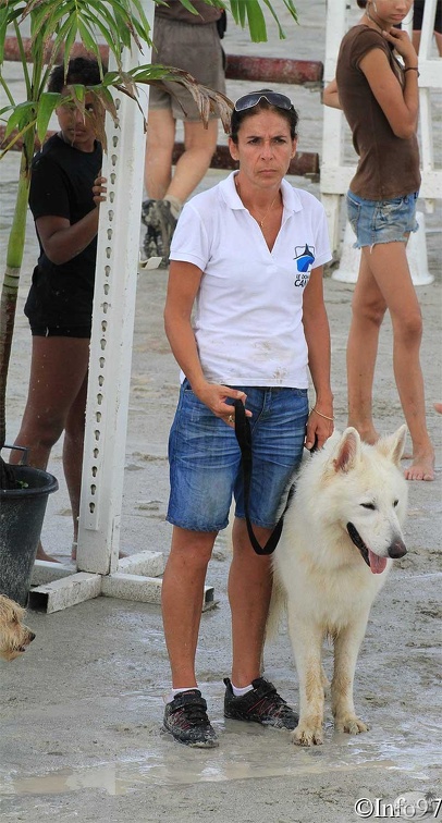 manifestation-canine5.jpg