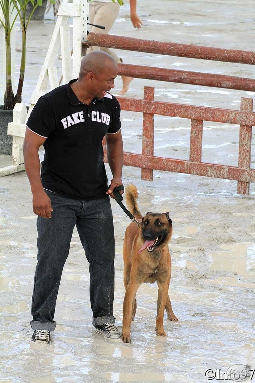 manifestation-canine9.jpg