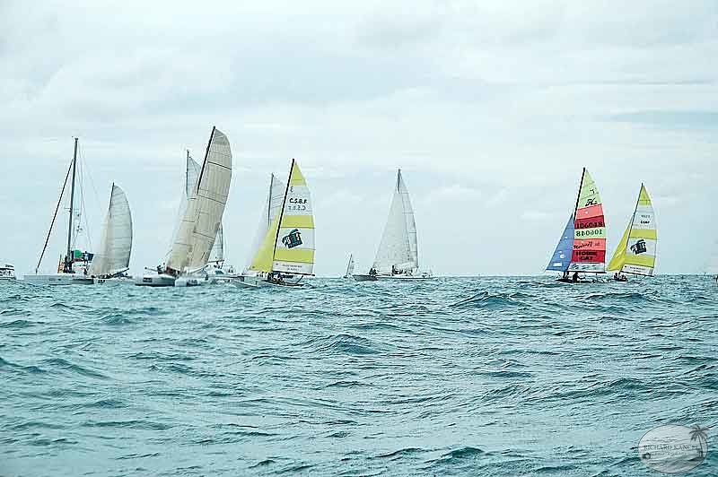 triskell-course22.jpg