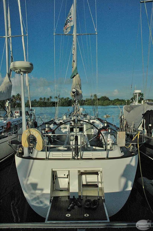 triskell2007-5.jpg