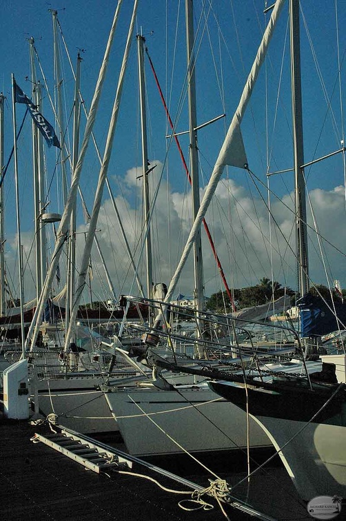 triskell2007-6.jpg