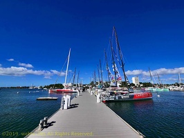 marina-route-du-rhum2018046