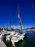 marina-route-du-rhum2018051