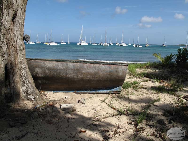 tour-voile-guadeloupe4.jpg