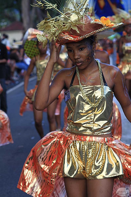carnaval-basse-terre2013-2.jpg