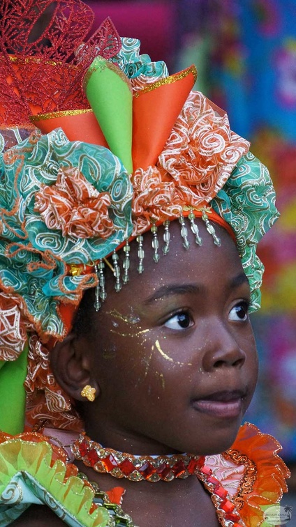 bt-carnaval2913-3-31.jpg