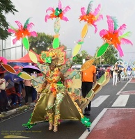 carnaval-basse-terre-2019008