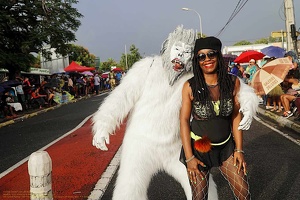 carnaval-basse-terre-2019044