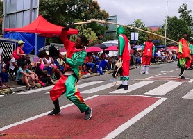 carnaval-basse-terre-2019057