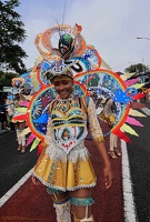 carnaval-basse-terre-2019101