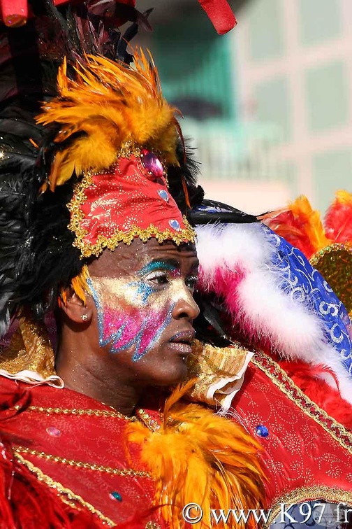 carnaval2008-papb8.jpg