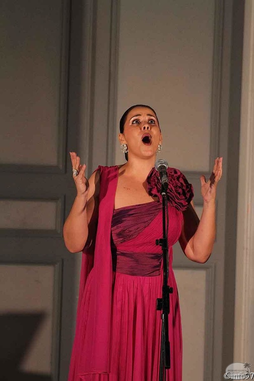 nuits-musicales-venutolo7.jpg
