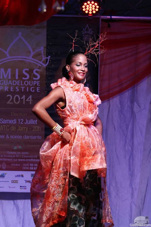 IMG_2647partie1-miss-guadeloupe-prestige2014.jpg