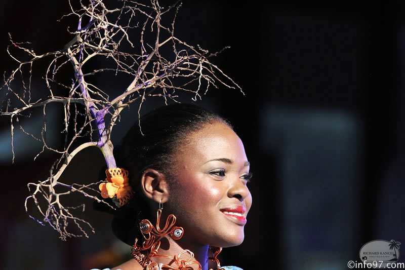 IMG_2714partie1-miss-guadeloupe-prestige2014.jpg