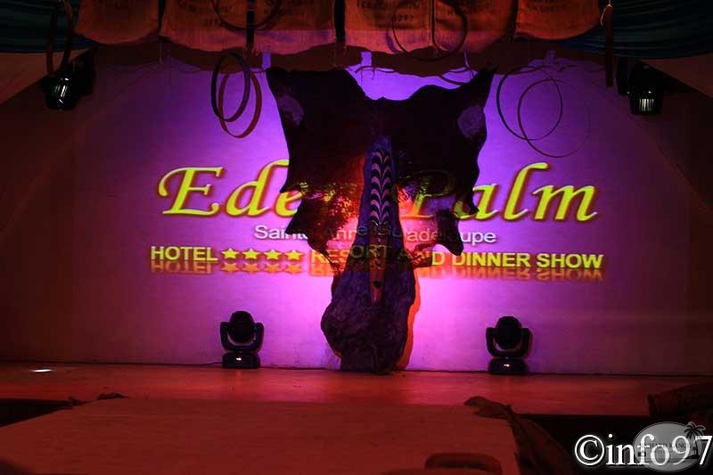 miss-hibiscus2011-1.jpg