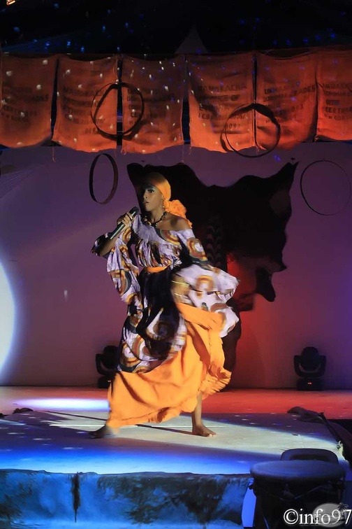 miss-hibiscus2011-7.jpg