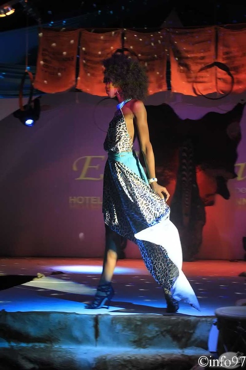 hibiscus2011-maillot22.jpg