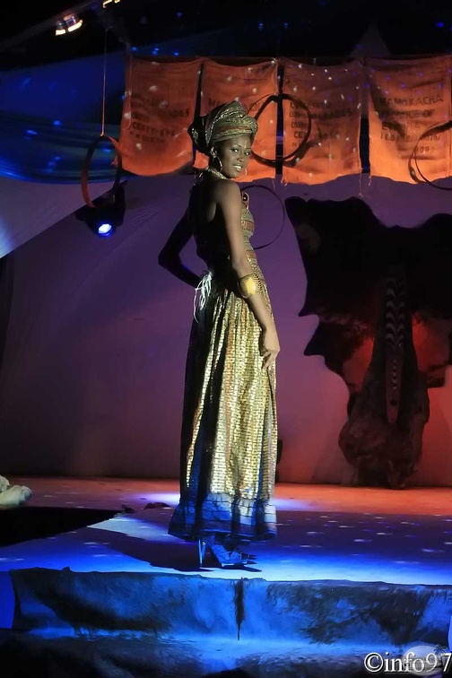 hibiscus2011-robe10.jpg