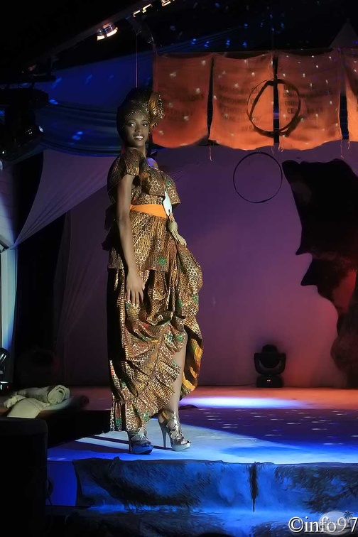 hibiscus2011-robe14.jpg