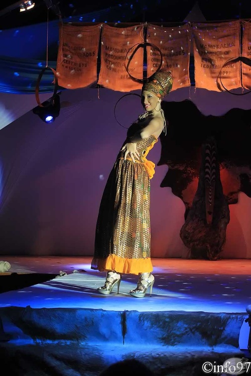 hibiscus2011-robe16.jpg