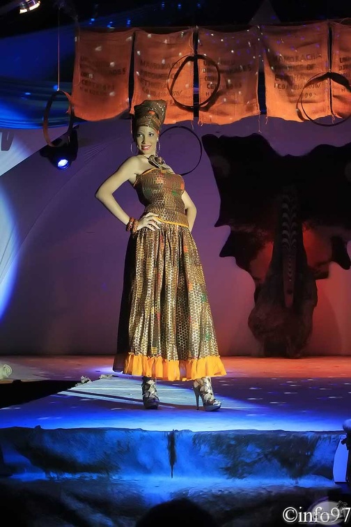 hibiscus2011-robe17.jpg