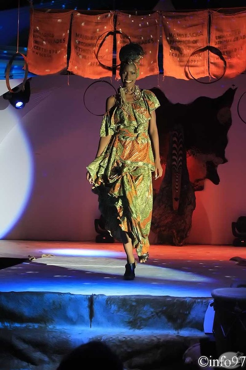 hibiscus2011-robe18.jpg