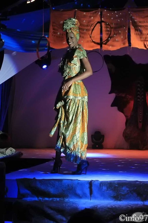 hibiscus2011-robe20.jpg