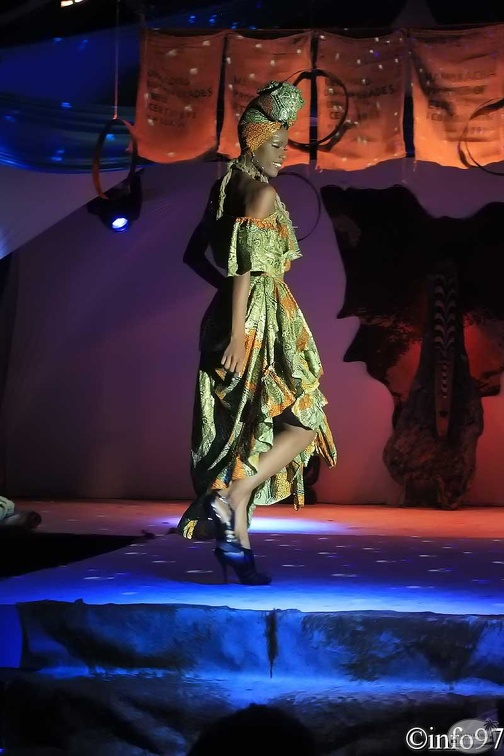 hibiscus2011-robe21.jpg