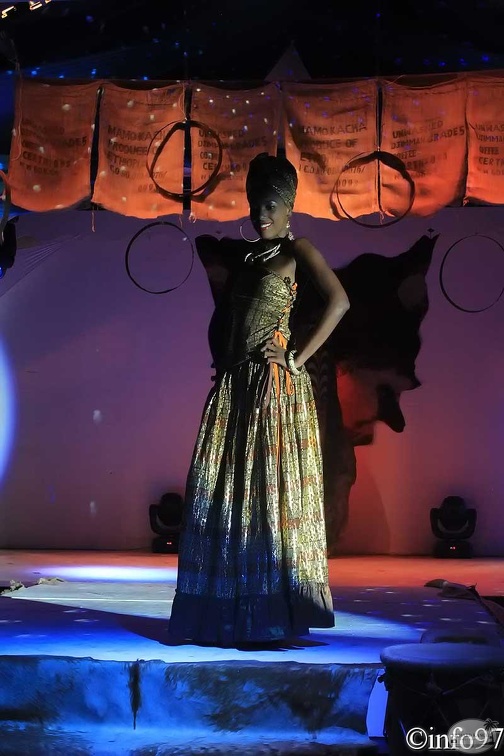 hibiscus2011-robe26.jpg