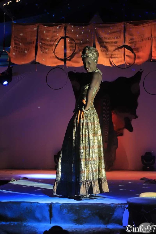 hibiscus2011-robe27.jpg