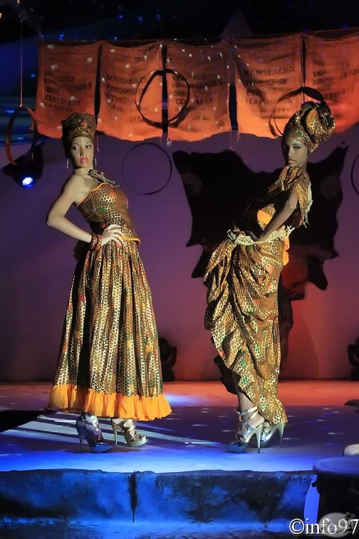 hibiscus2011-robe4.jpg