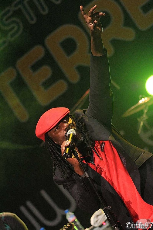 terre-de-blues-artiste6-4.jpg
