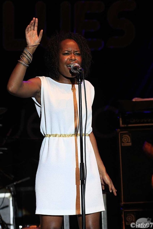 terr-de-blues-2012-artiste2-1.jpg
