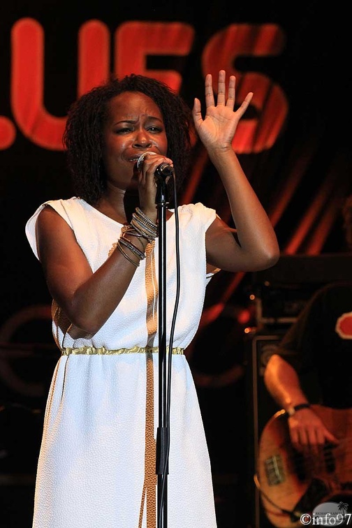 terr-de-blues-2012-artiste2-14.jpg