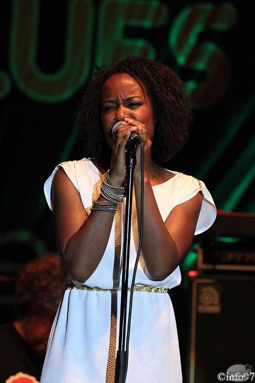 terr-de-blues-2012-artiste2-3.jpg
