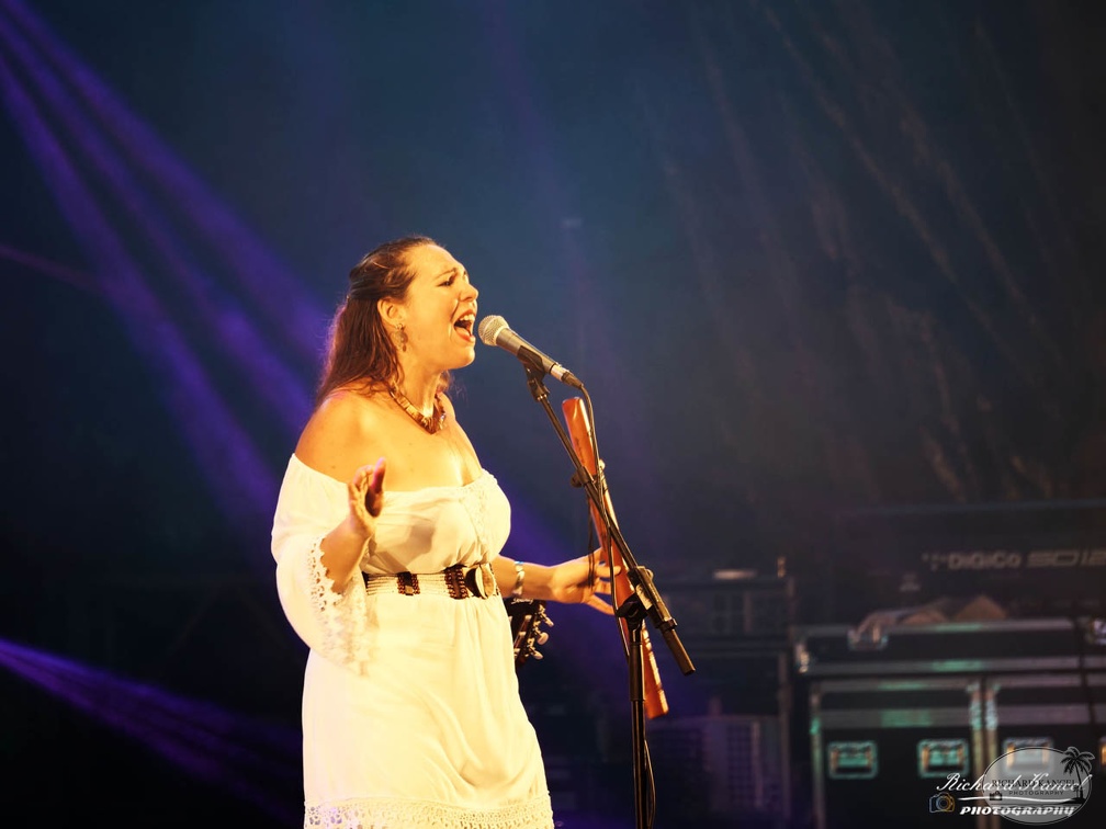 P1041123terre-de-blues1.jpg