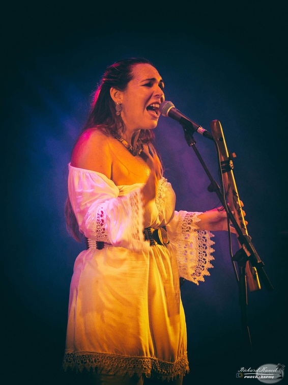 P1041140terre-de-blues1.jpg