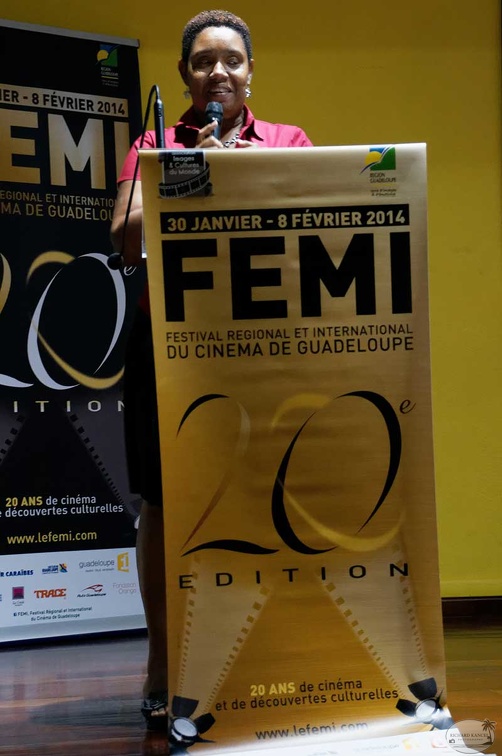 femi-2014-25.jpg