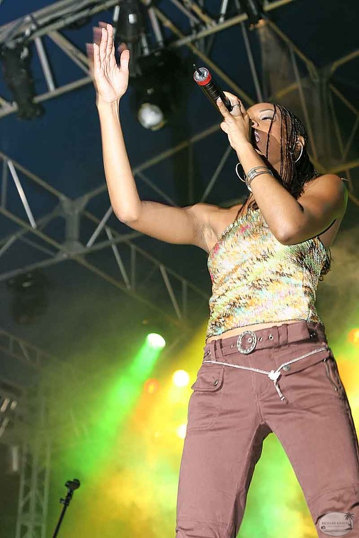festivall24.jpg